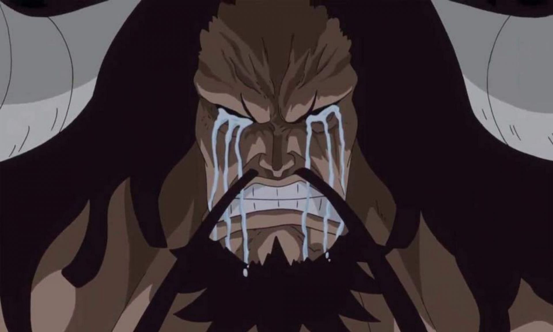 Kaido has been through a lot in One Piece (Image via Toei Animation)
