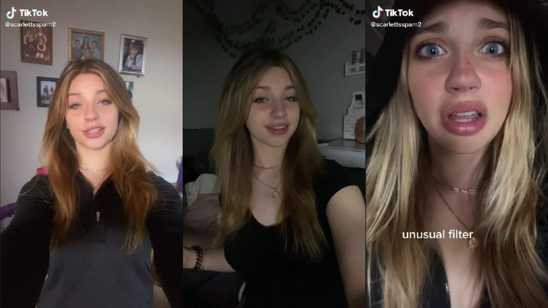 Spam is actually only 13-years-old, contrary to popular belief (Images via scarlettsspam2/TikTok)