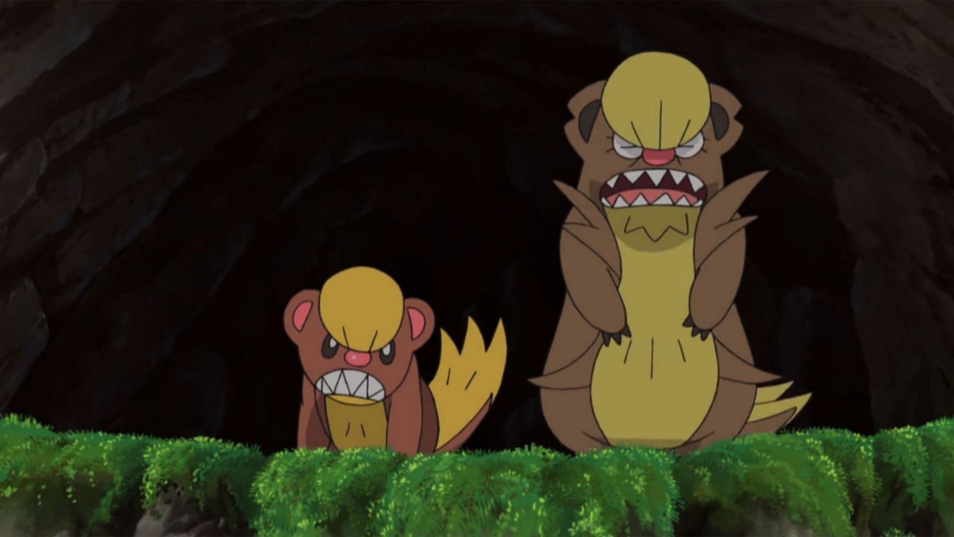 Yungoos and its evolution Gumshoos in the Pokemon anime (Image via The Pokemon Company)