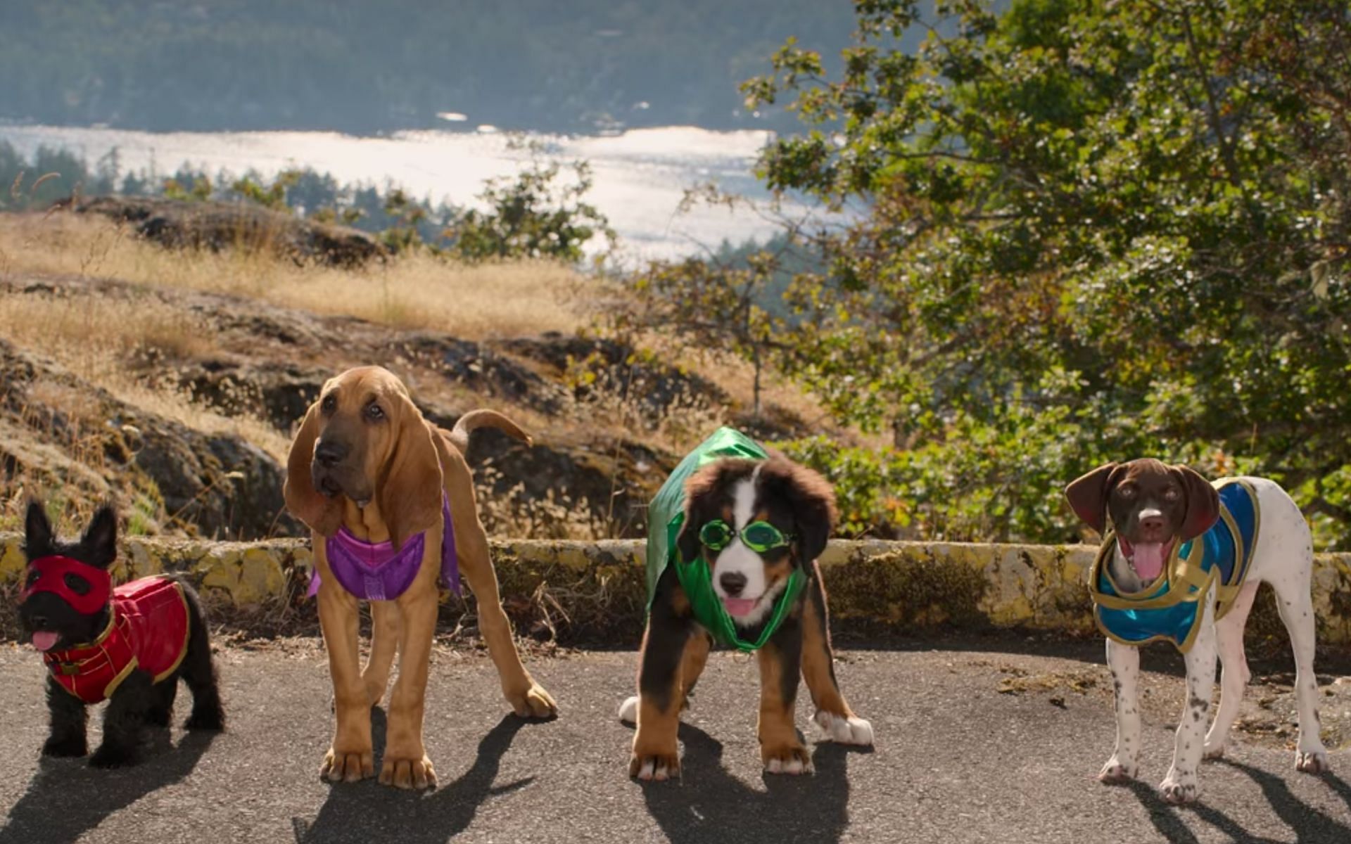 The four super pupz in their superhero costumes (Image via Netflix)