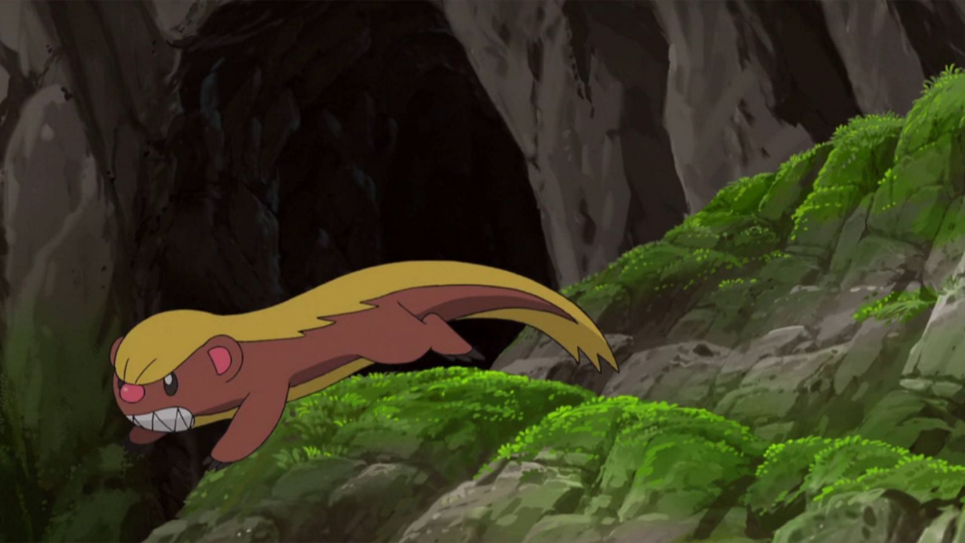Yungoos as it appears in the Pokemon anime (Image via The Pokemon Company)