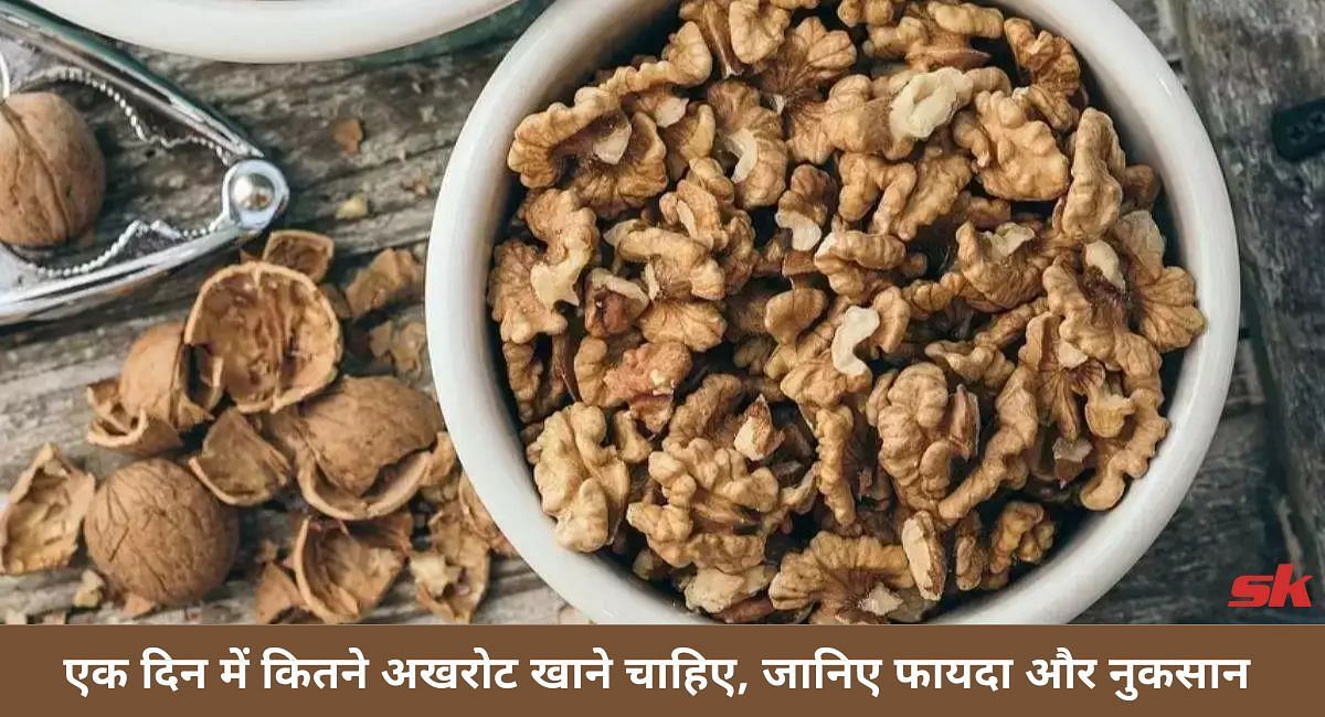 एक दिन में कितने अखरोट खाने चाहिए, जानिए फायदा और नुकसान(फोटो-Sportskeeda hindi)