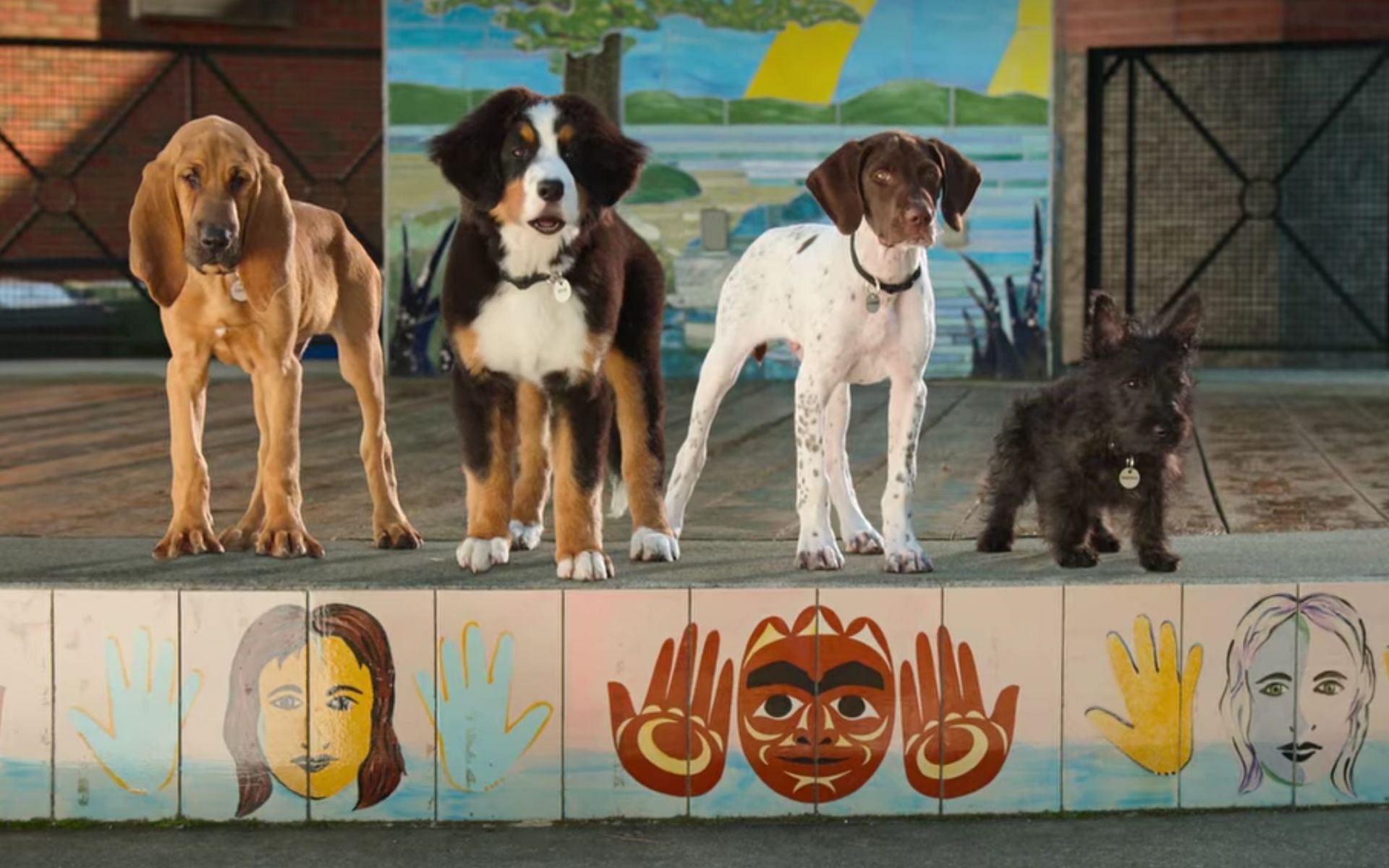 Champ, Otis, Haggis, and Luna making plans to rescue Zeta from the observatory (Image via Netflix)