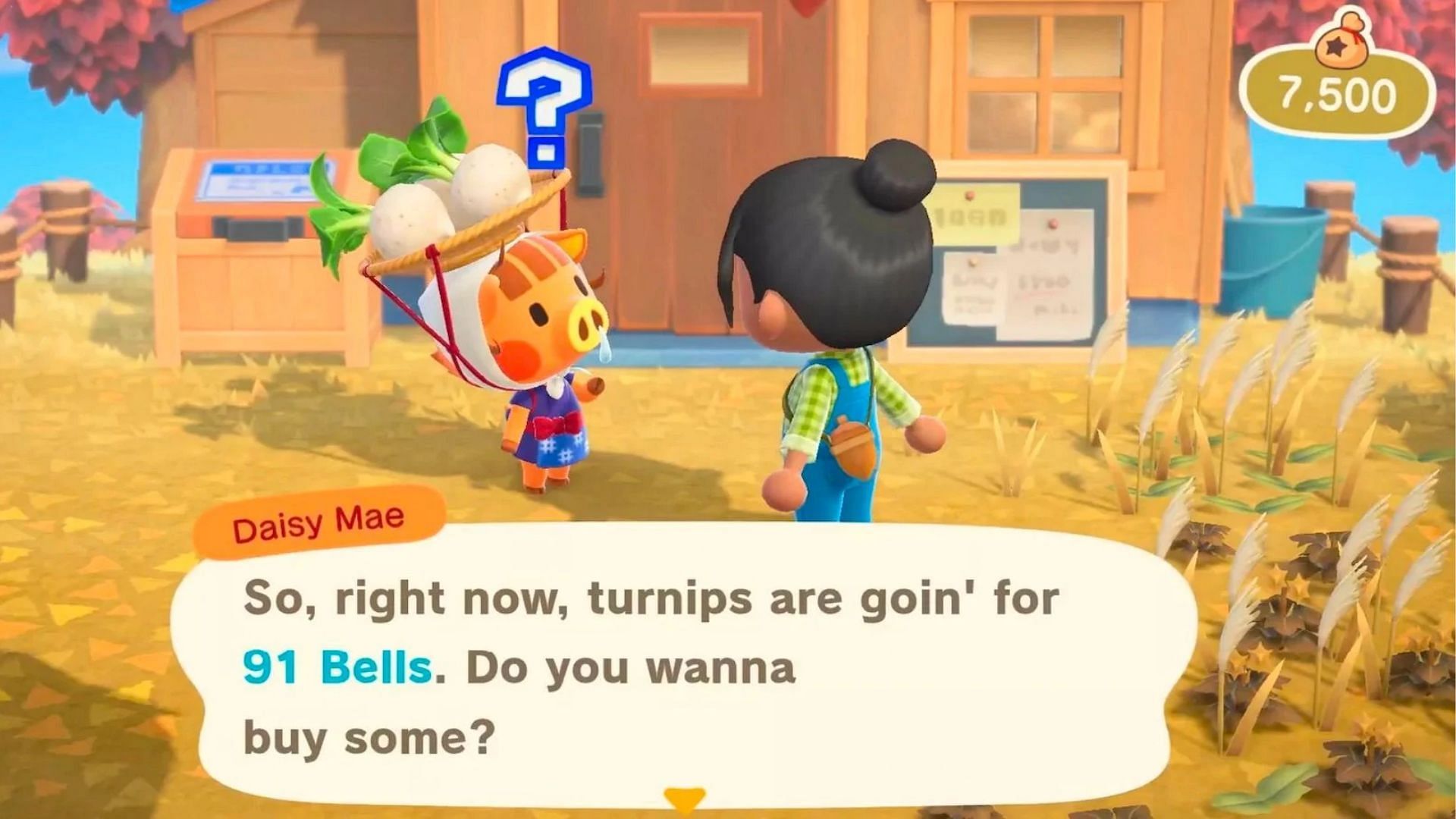 Turnips are a very important commodity in Animal Crossing: New Horizons (Image via Animal Crossing Fandom)