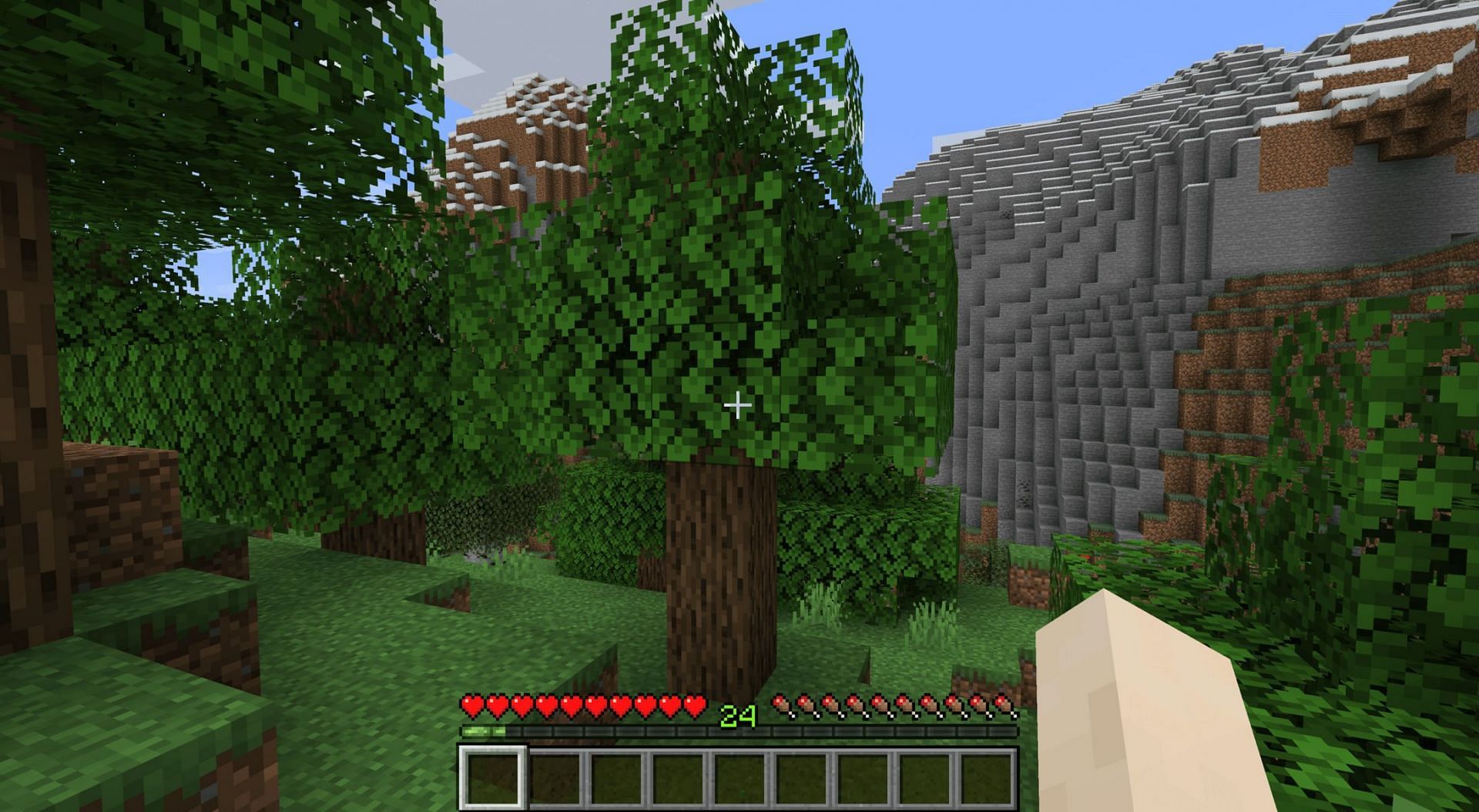 Trees can be found in nearly any Minecraft biome (Image via Mojang)