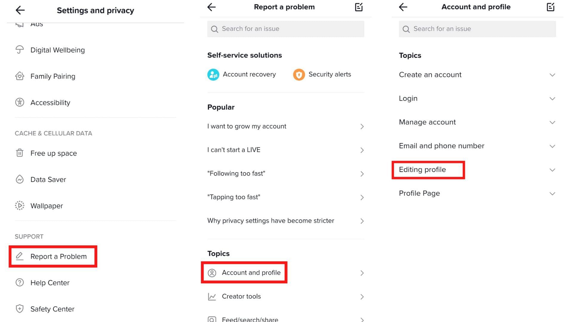 Select &#039;Report a Problem, then &#039;Account and profile&#039;, and finally &#039;Editing profile&#039;