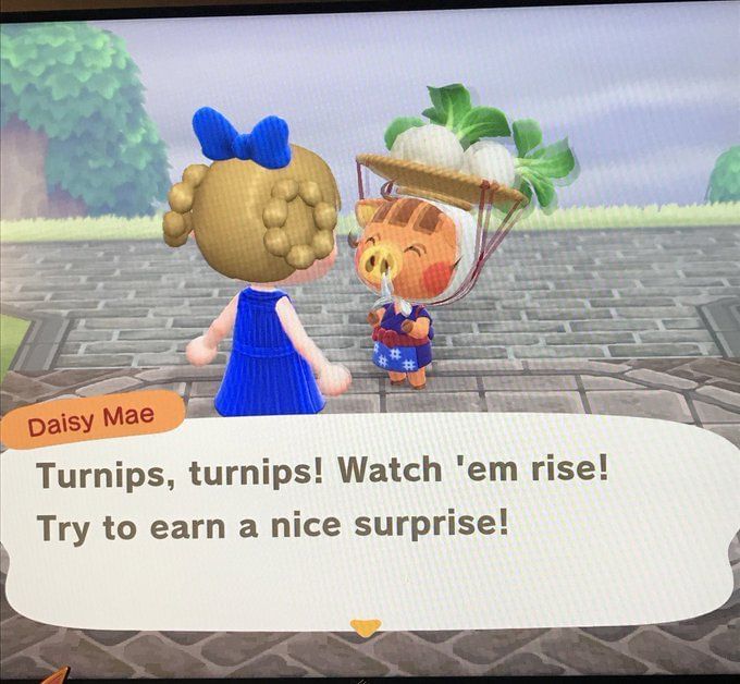 How to find and get turnips in Animal Crossing New Horizons
