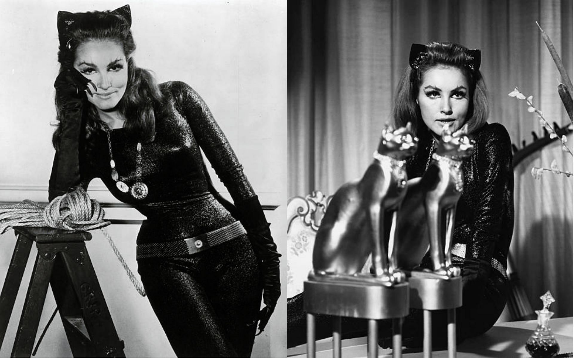 Julie Newmar as Catwoman in the Batman series (1966-1967) (Image via Getty Images)