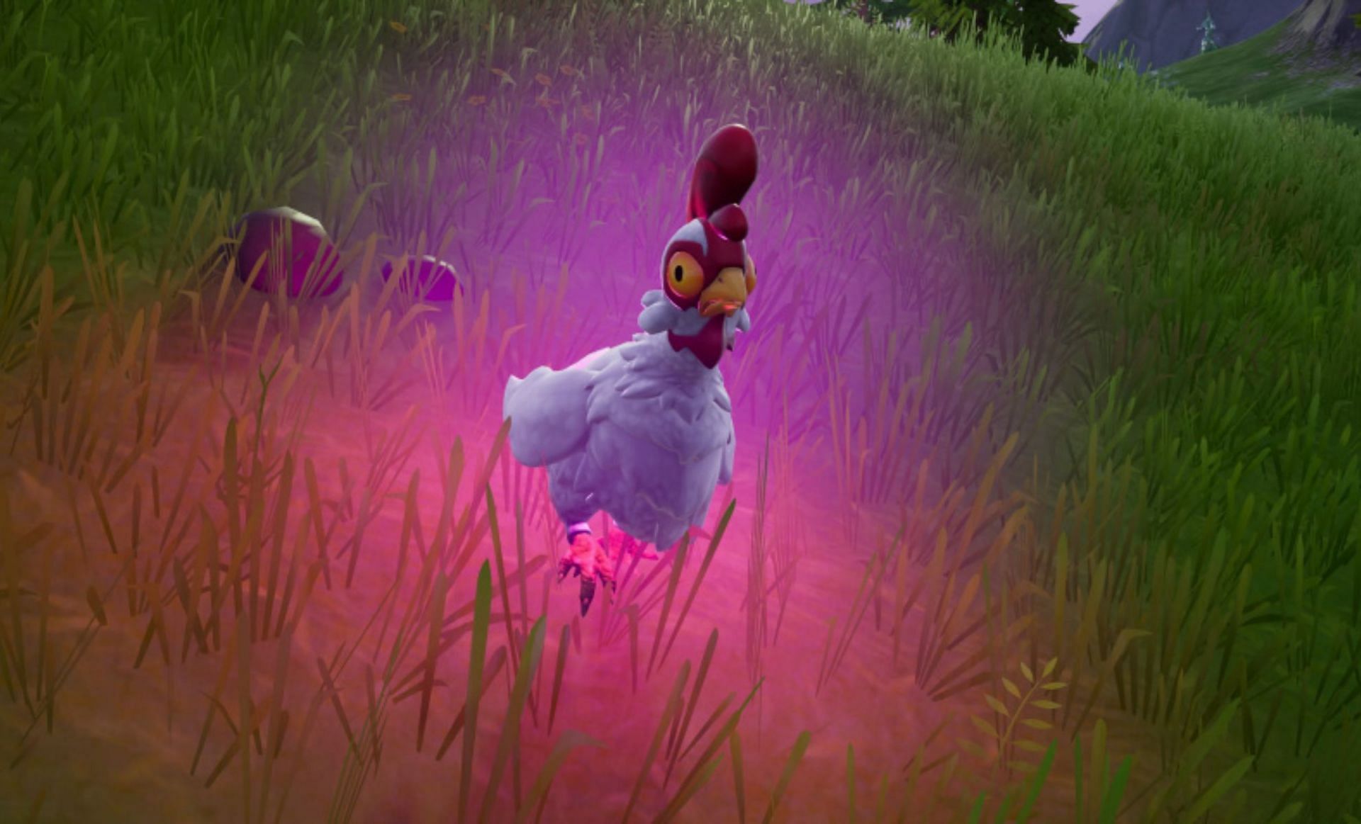 Loot Chickens glow (Image via News Explorer)