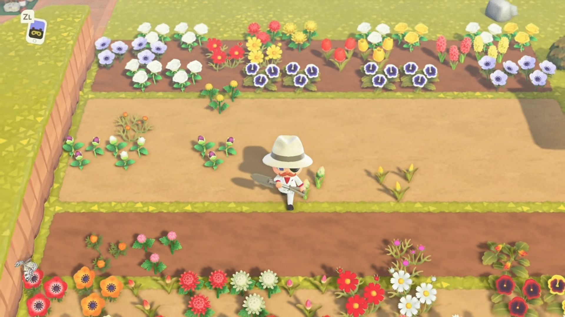 A complete guide to flower breeding in Animal Crossing: New Horizons (Image via Happy Gamer)