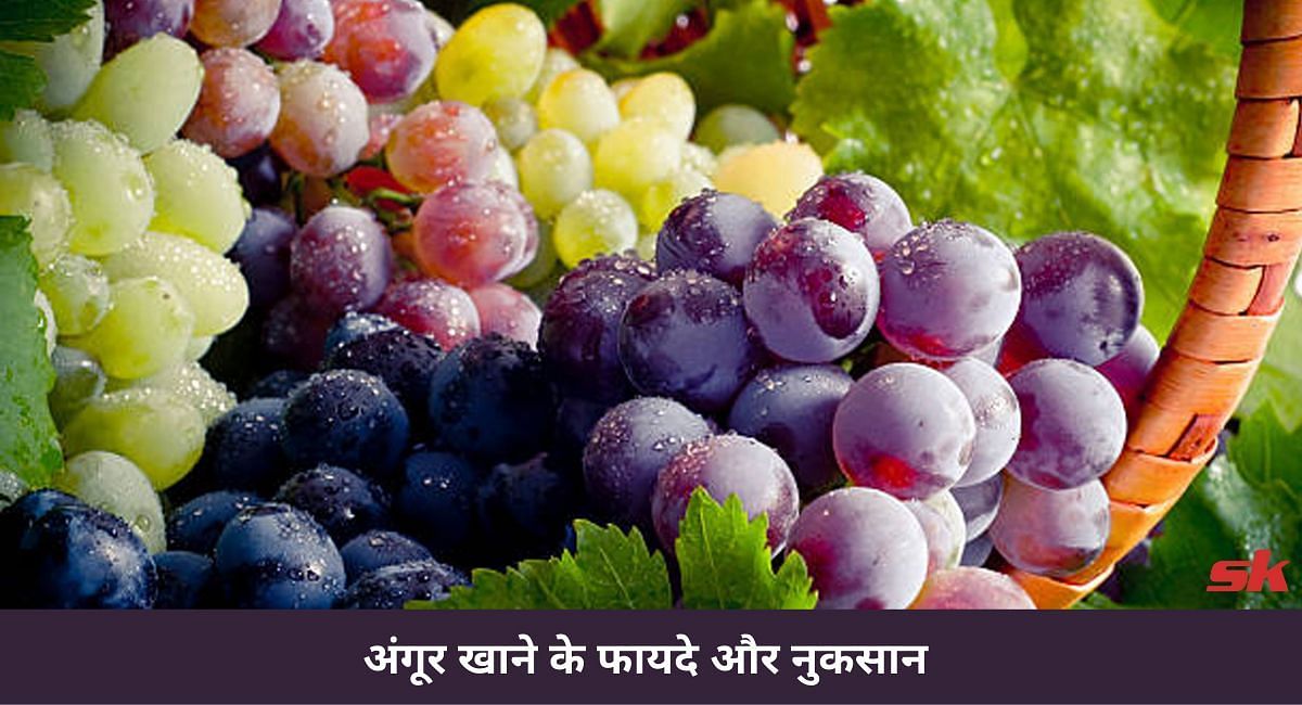 अंगूर खाने के फायदे और नुकसान(फोटो-Sportskeeda hindi)