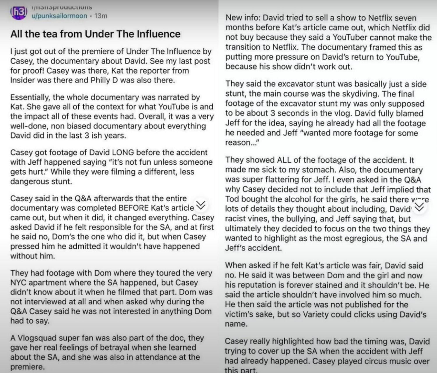 Reddit user who viewed the documentary shares their take on &#039;Under the Influence&#039; (Image via YouTube/Adam McIntyre)