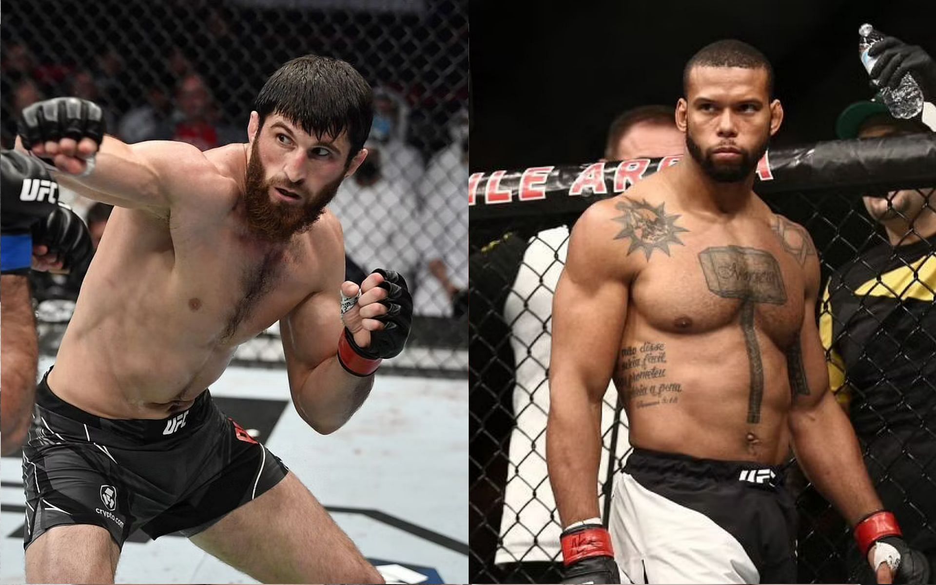 Magomed Ankalaev (left) and Thiago Santos (right)