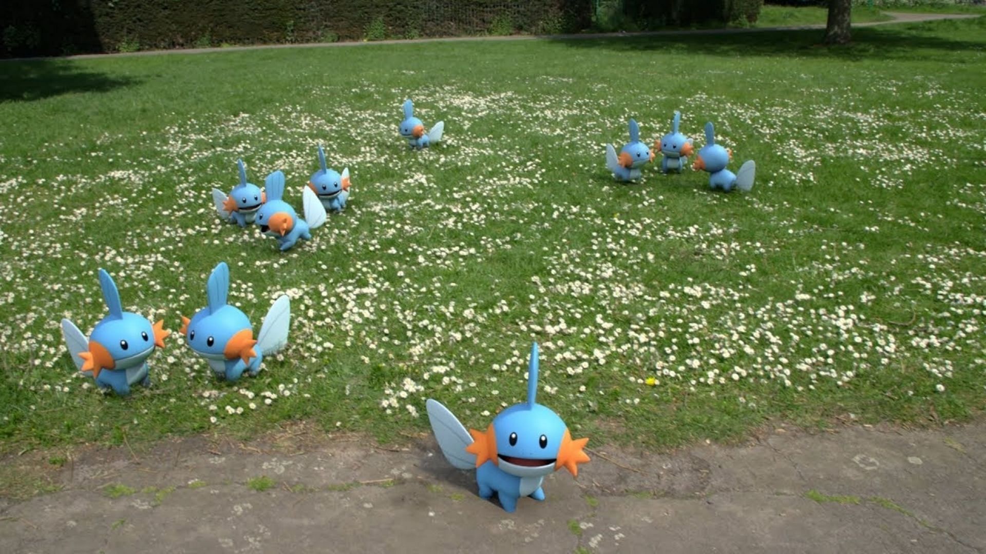 The Hoenn Water-type starter, Mudkip, is getting a lot of love for April&#039;s Community Day Classic (Image via Niantic)