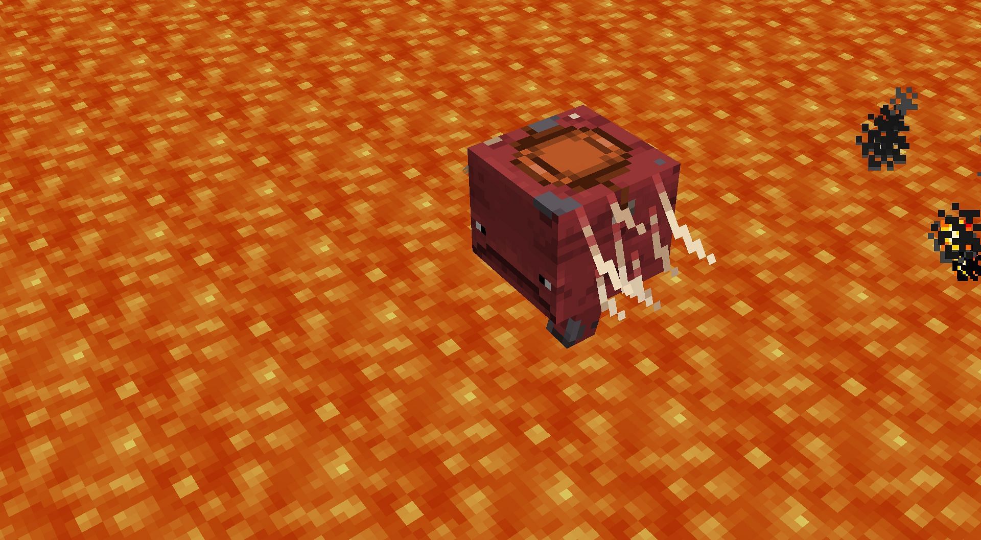 Striders can be ridden over lava (Image via Mojang)
