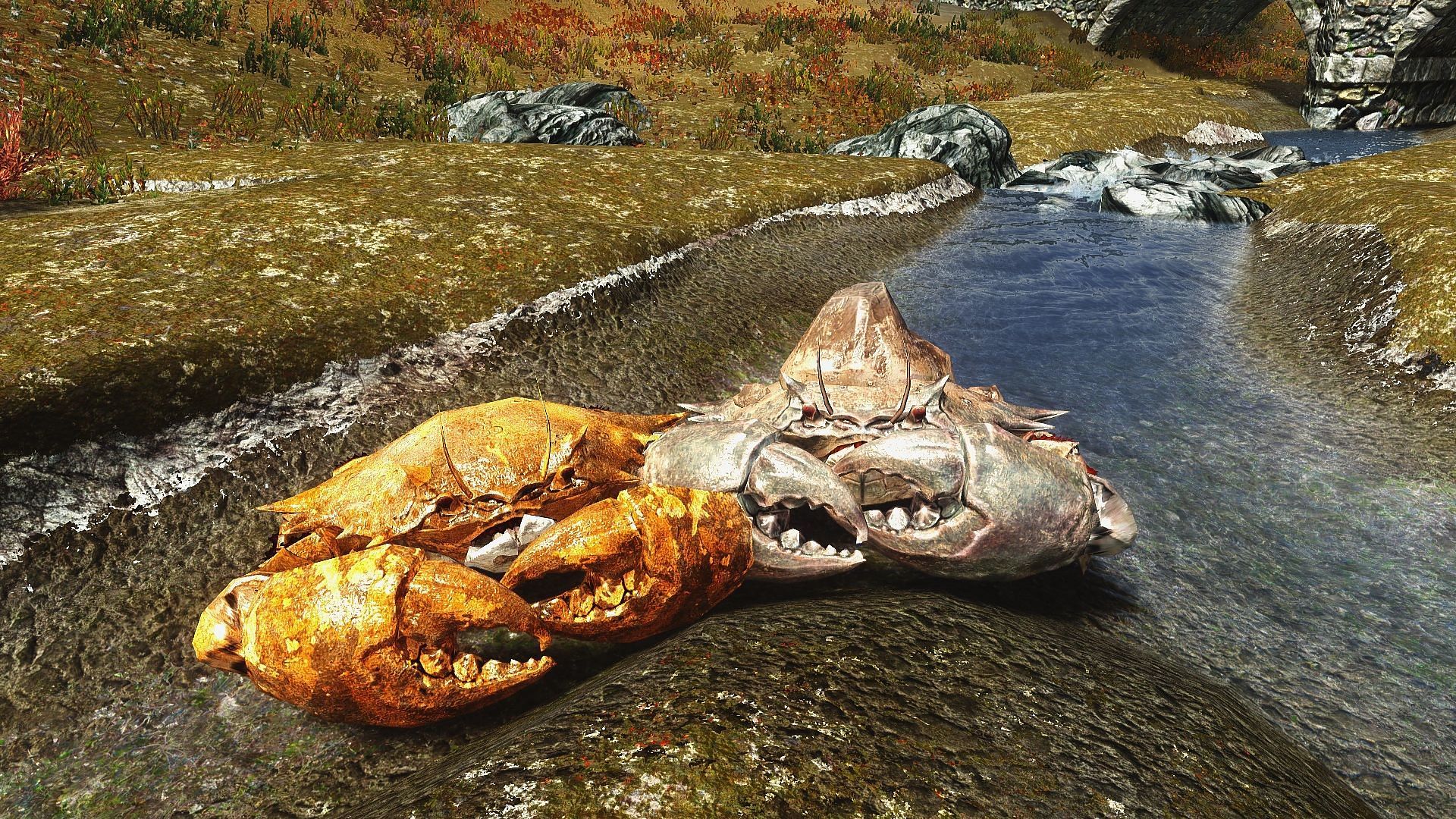 The mudcrabs can be killed to find stamina-boosting alchemy ingredients (Image via Nexusmods)