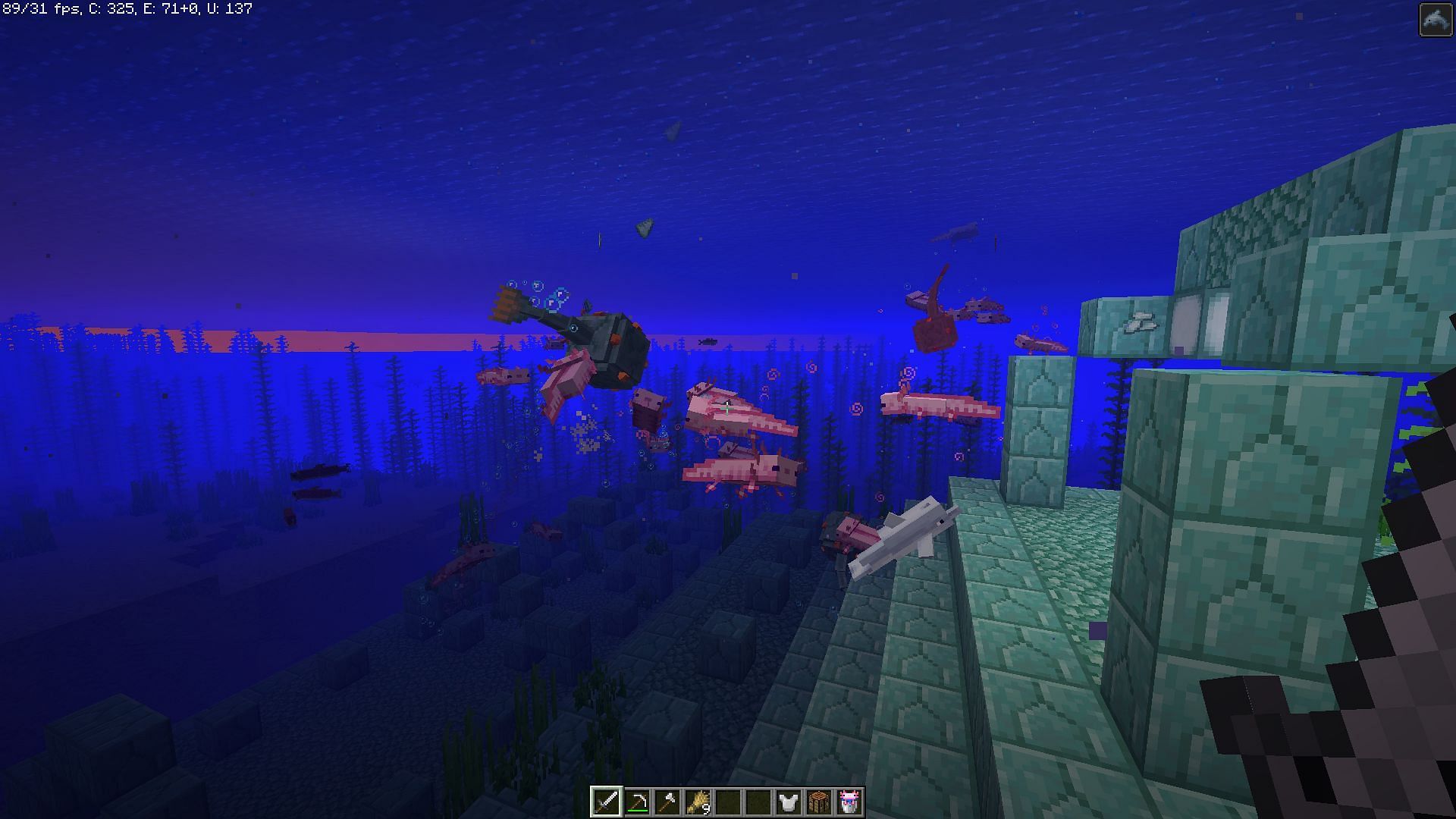 They attack all kinds of aquatic mobs (Image via Minecraft)