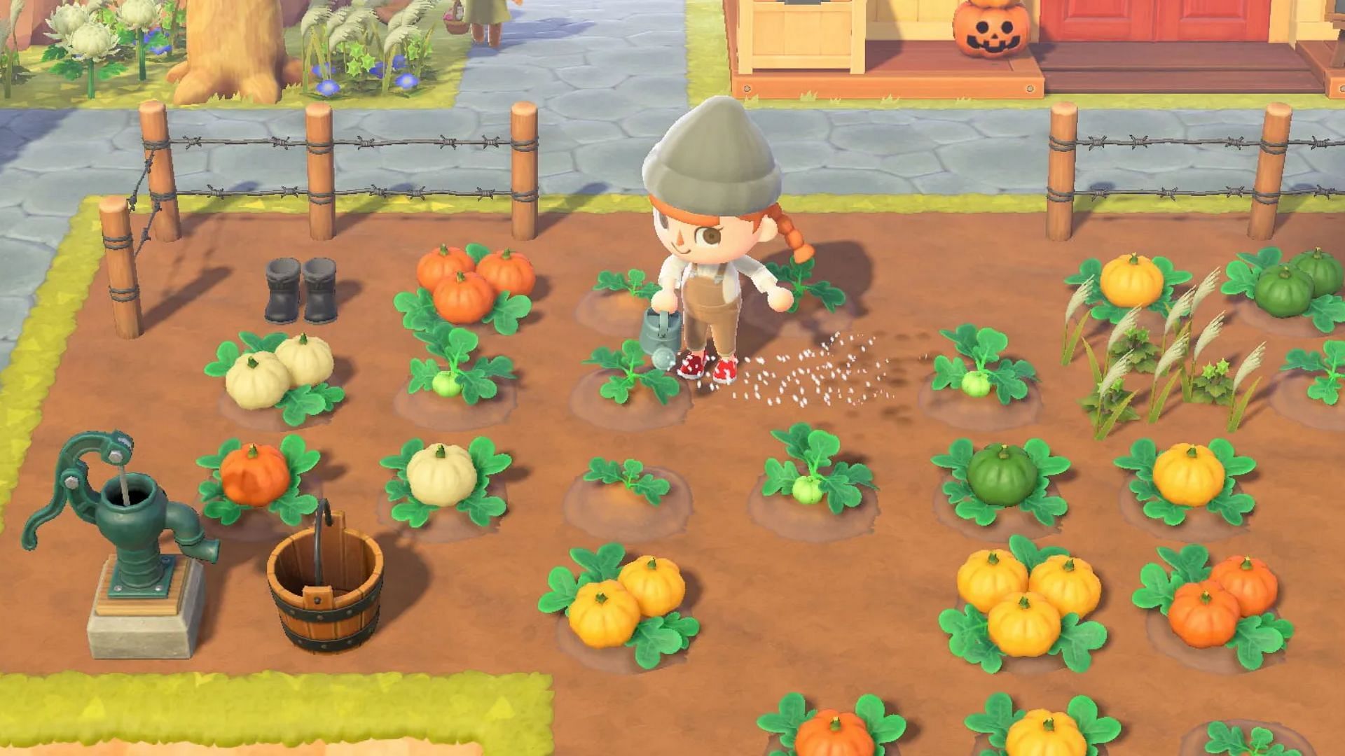 Animal Crossing: New Horizons hacks that can save players a lot of time (Image via Nintendo Enthusiast)
