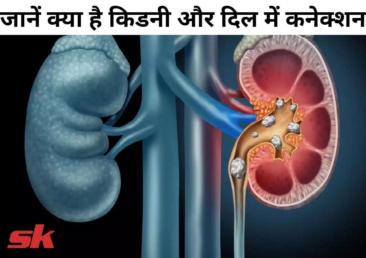 जानें क्या है किडनी और दिल में कनेक्शन (फोटो - sportskeeda hindi)