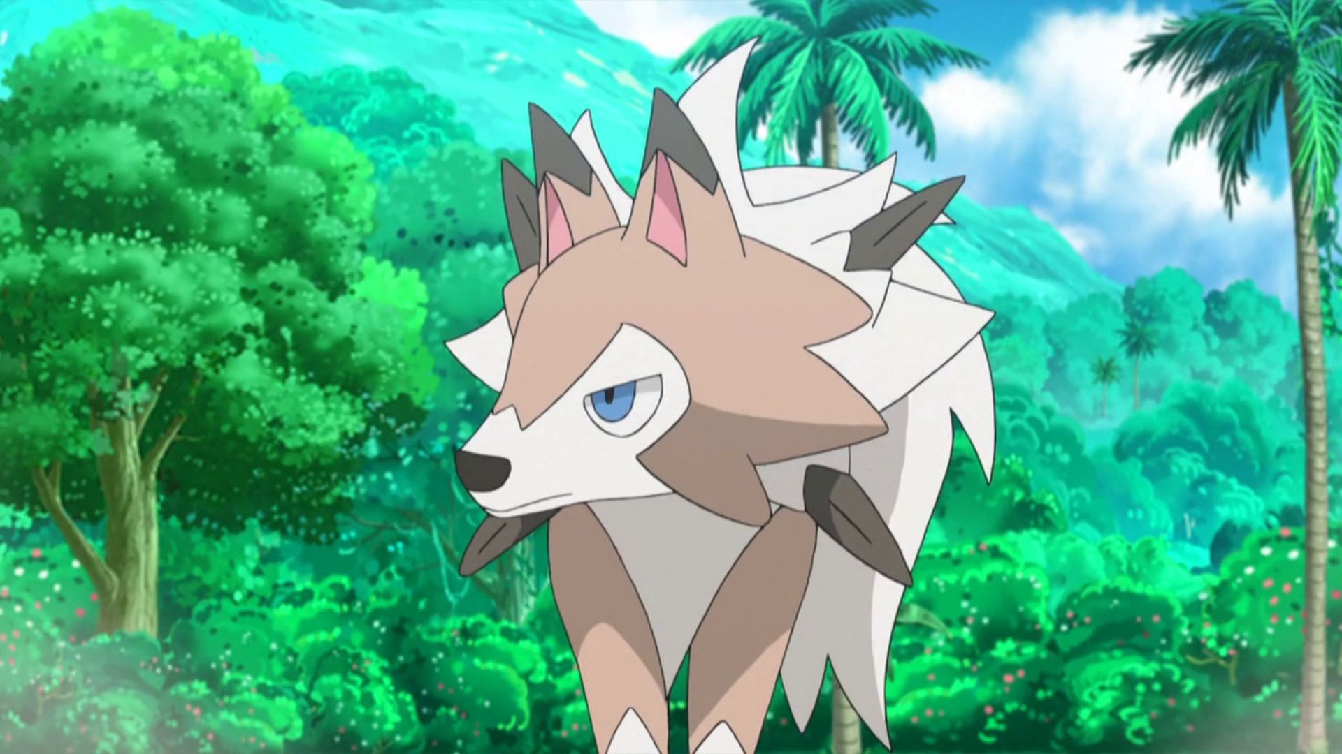 Lycanroc Midday is one of two forms for Rockruff&#039;s evolution (Image via The Pokemon Company)
