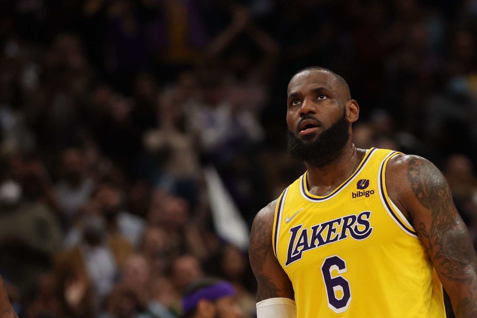 LeBron James looks on at the LA Lakers game