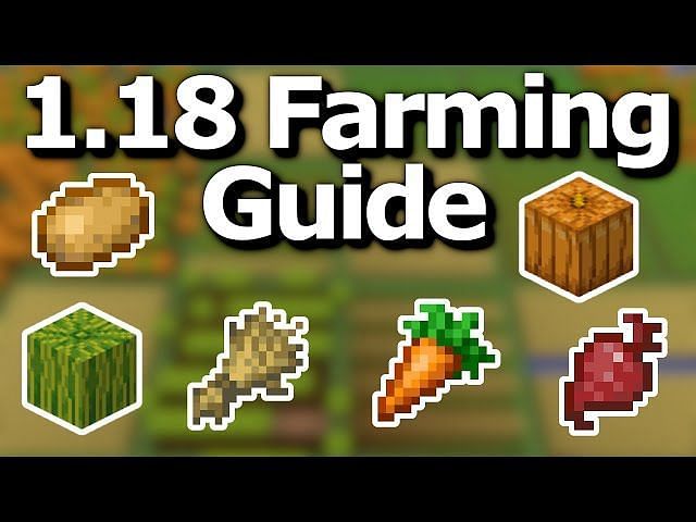 how-to-plant-seeds-in-minecraft