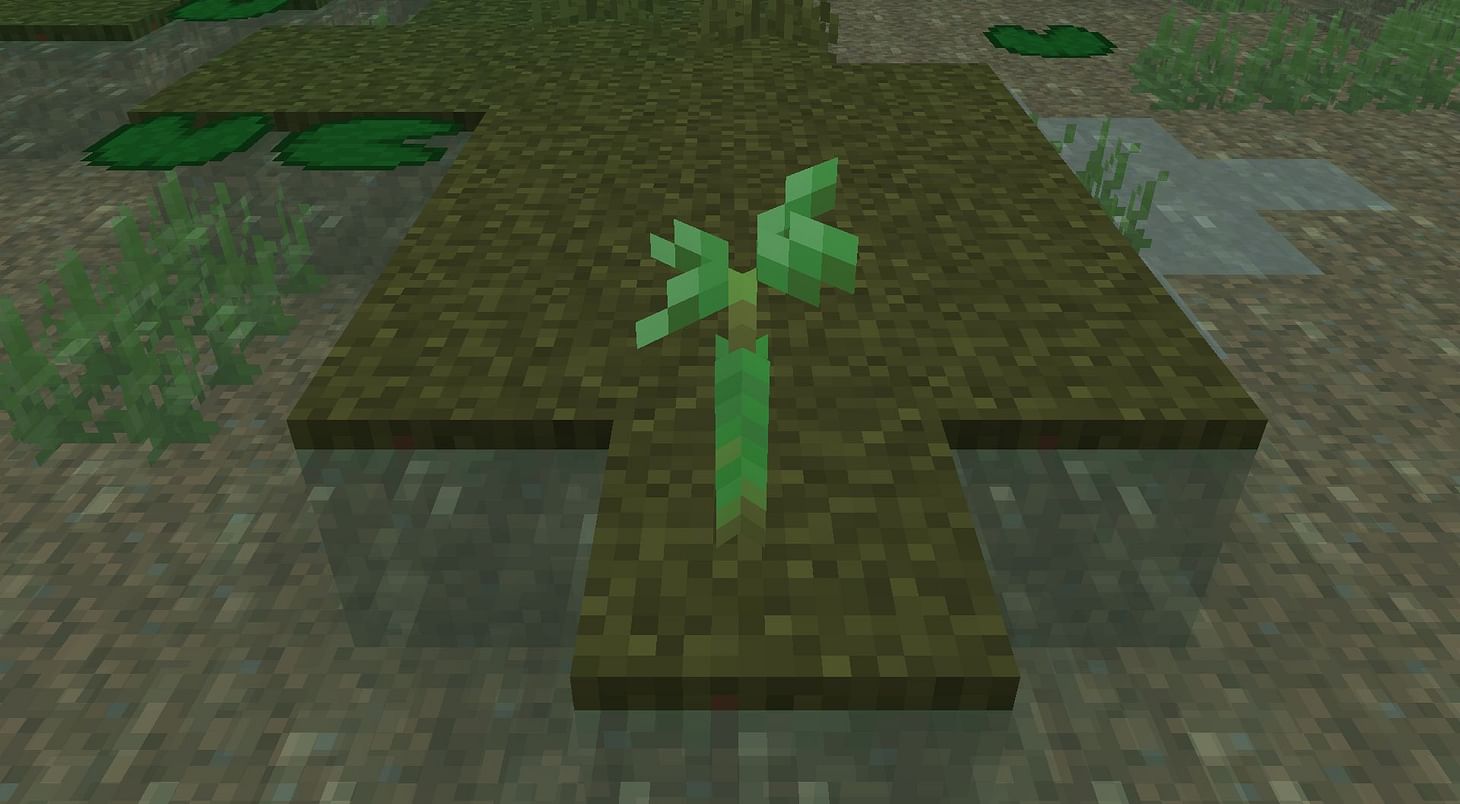 How to get Mangrove propagules in the Minecraft 1.19 update