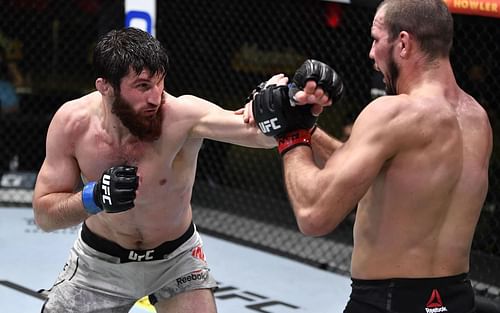 UFC Fight Night: Nikita Krylov vs. Magomed Ankalaev