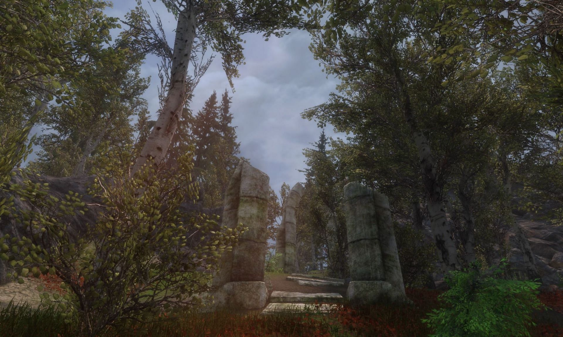 Oblivion&#039;s dense greenery was one of its most impressive features (Image via Nexusmods)