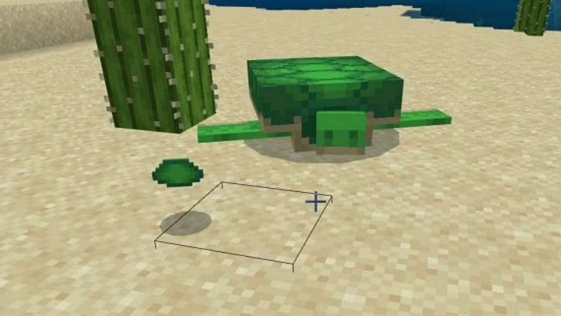 A piece of scute near a fully-grown turtle in Minecraft (Image via Mojang)