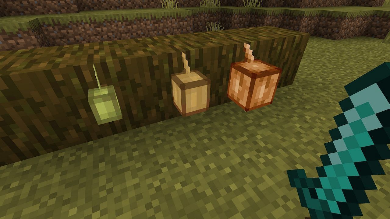 Cocoa beans grow in 3 different stages during maturation (Image via Minecraft)