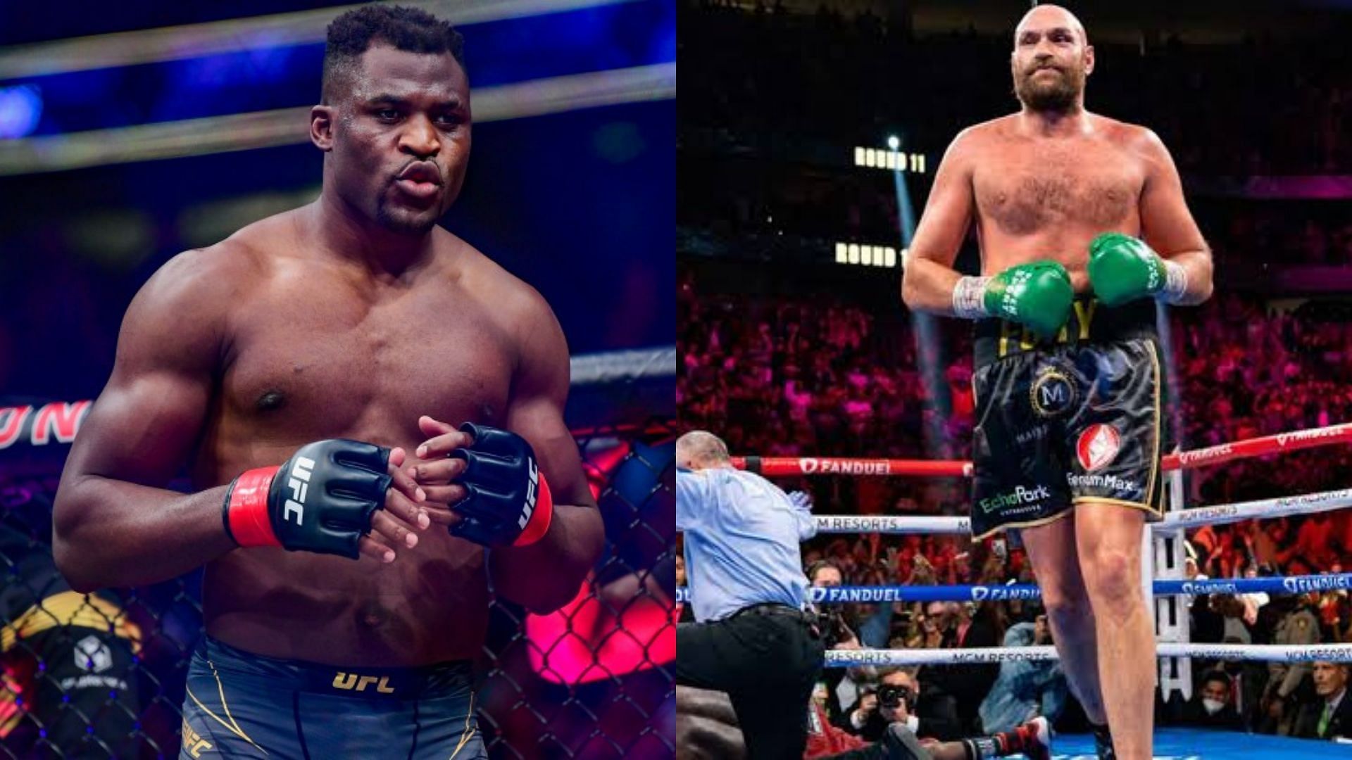 Could Francis Ngannou go on to face Tyson Fury in a boxing match?