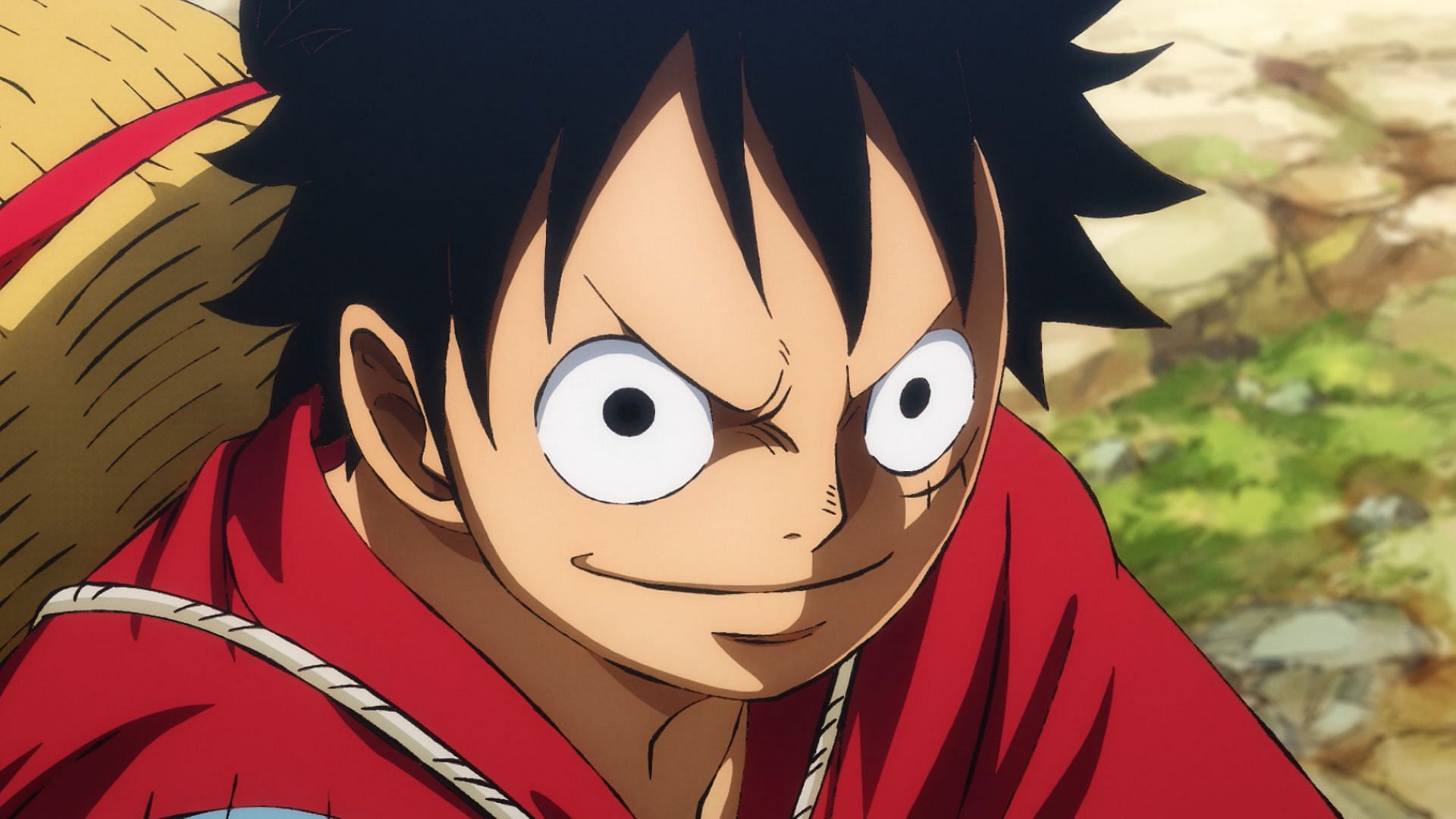 Luffy as seen in the series