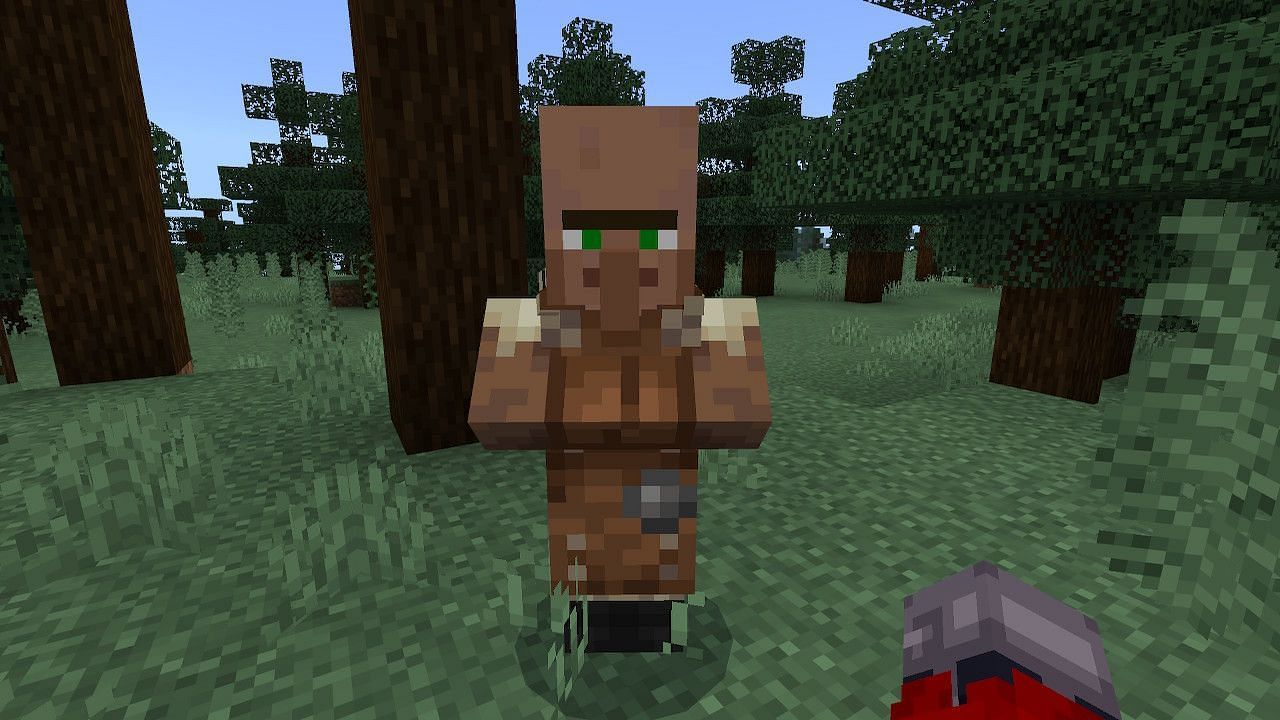 Players can find a Leatherworker inside of a village or by making an unemployed villager change their profession (Image via Minecraft)