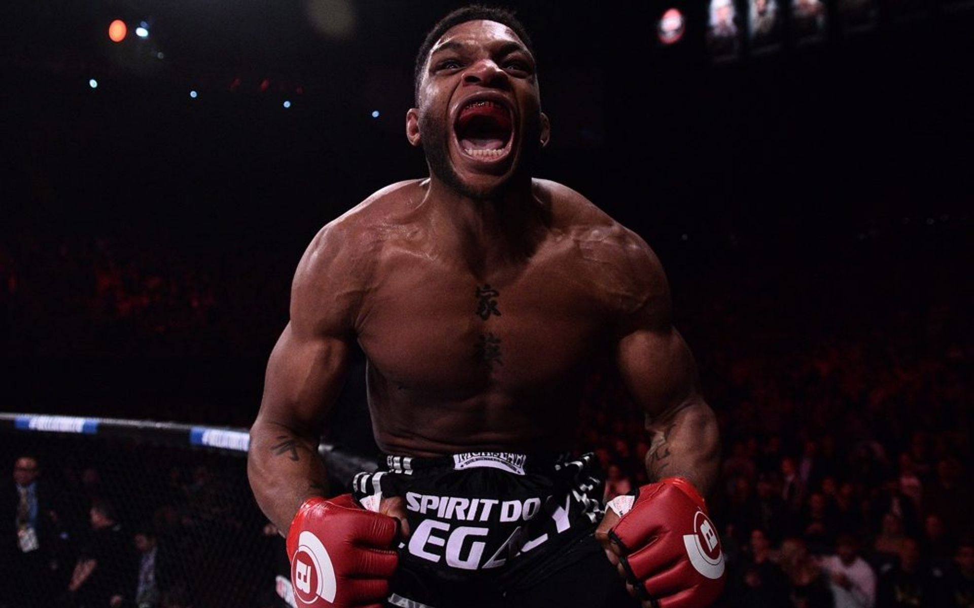 Paul Daley found himself expelled from the UFC, meaning he never lived up to his hype