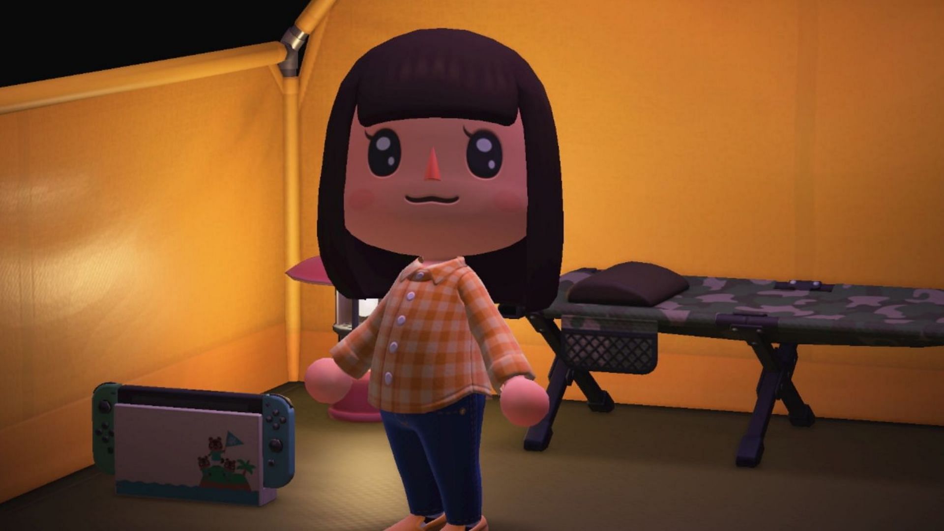 Things newbies do in Animal Crosssing: New Horizons (Image via Nintendo)