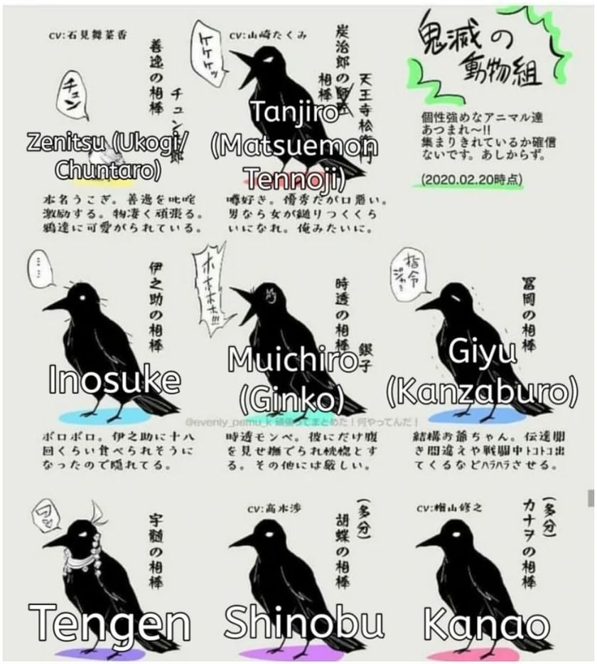 How every Kasugai Garasu is different in Demon Slayer