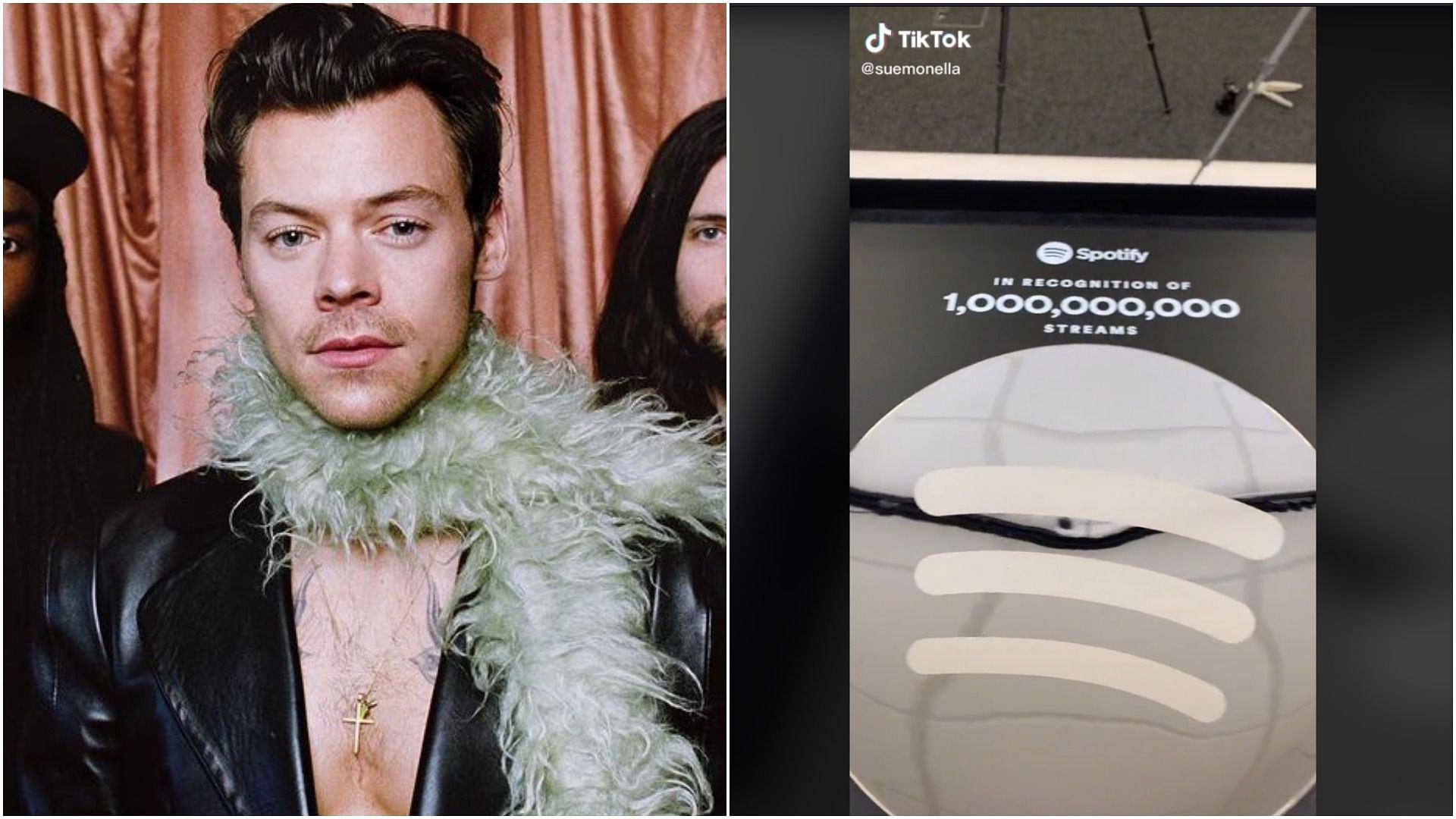 Mysterious TikTok account has fans convinced that it belongs to the singer Harry Styles (Images via @harrystyles/Instagram and @suemonella/TikTok)