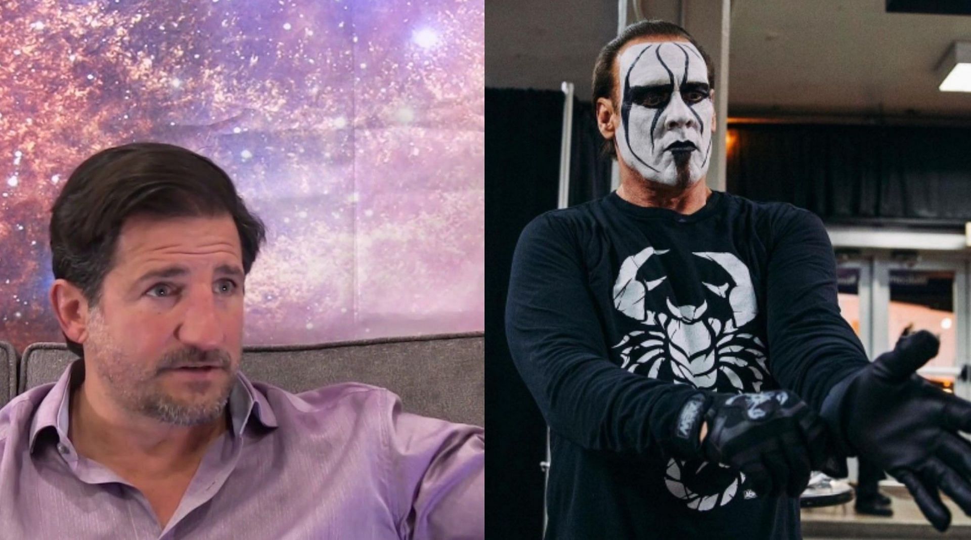 Sting is a 2016 WWE Hall of Famer