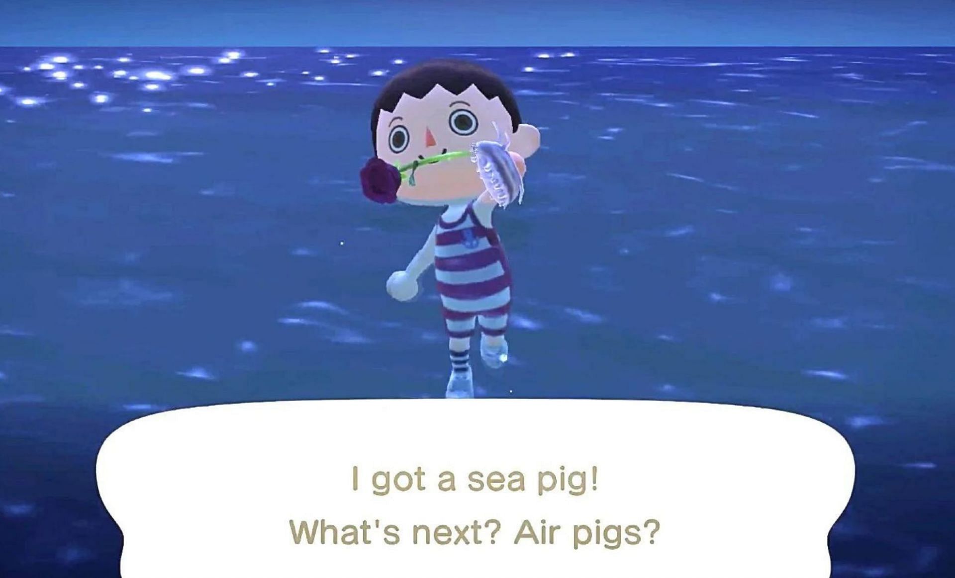 The sea pig (Image via Nintendo)