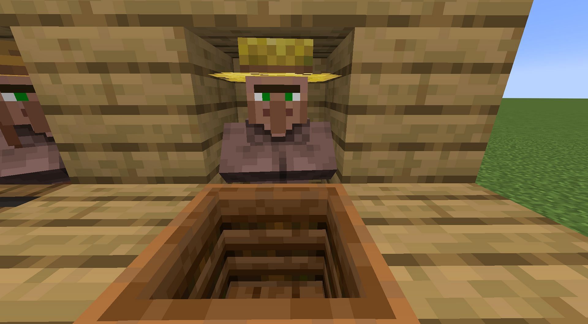 Farmer (Image via Minecraft)