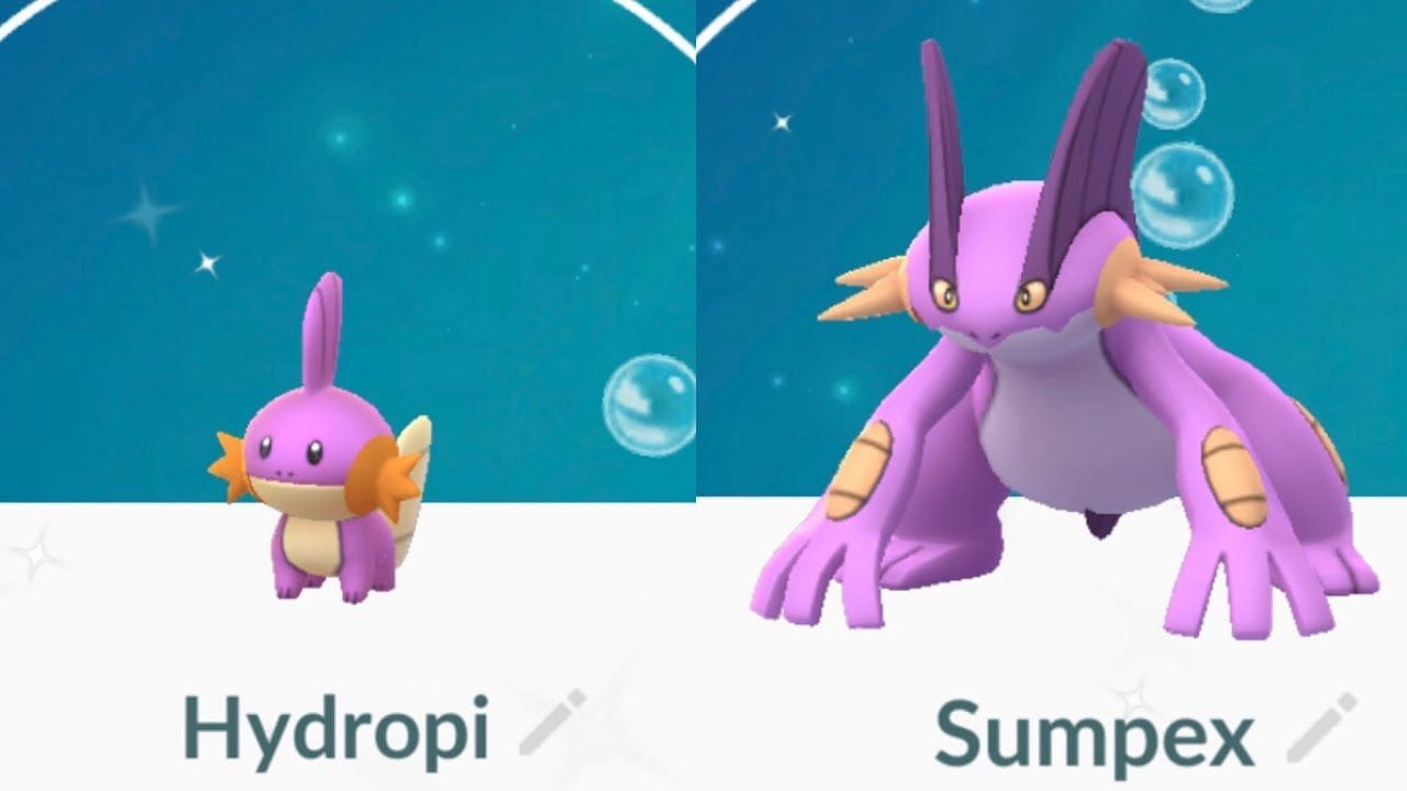 Shiny Mudkip and Swampert as they appear in Pokemon GO (Image via Niantic/Thomas Krause on YouTube)