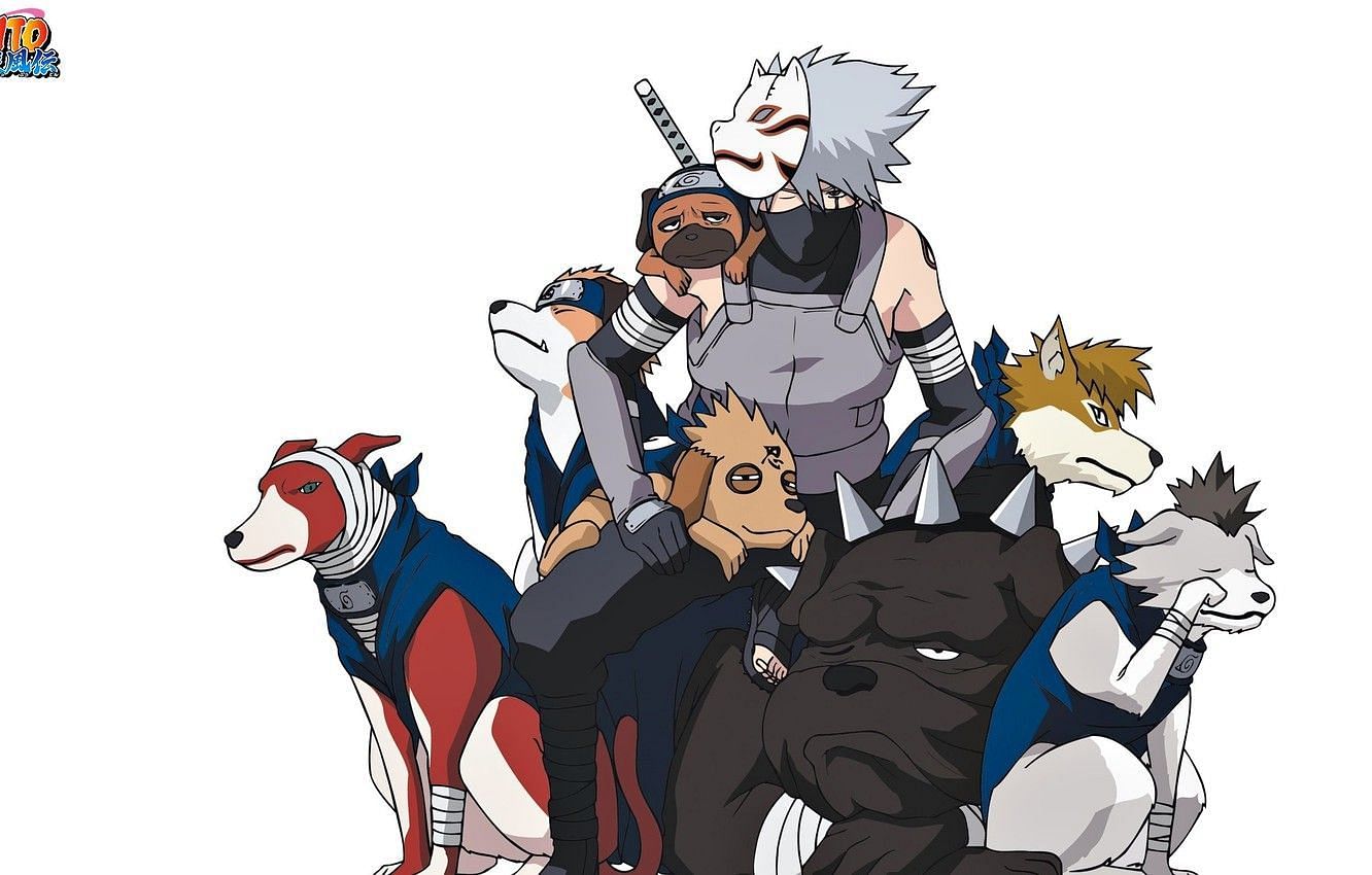 Kakashi and his ninja dogs as they appear in &#039;Naruto&#039; (Image via Studio Pierrot)