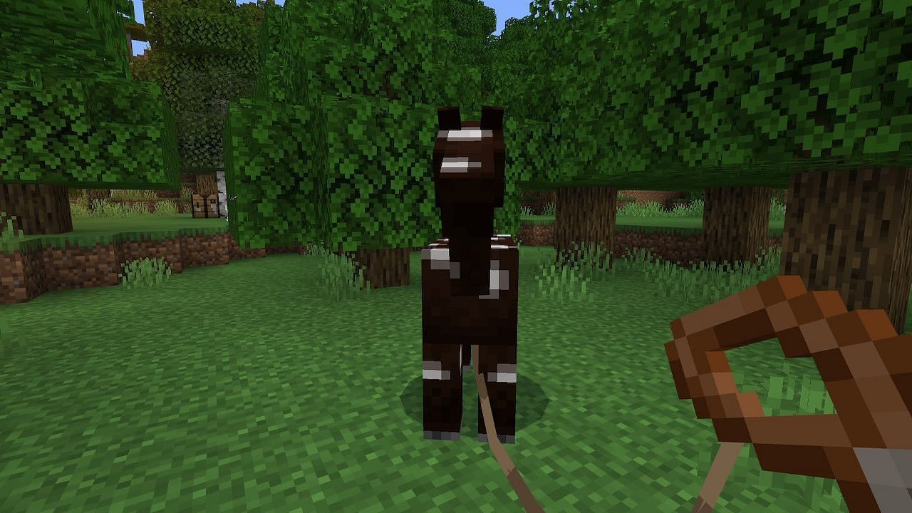 Leads can help players guide animals and other passive or neutral mobs. (Image via Minecraft)