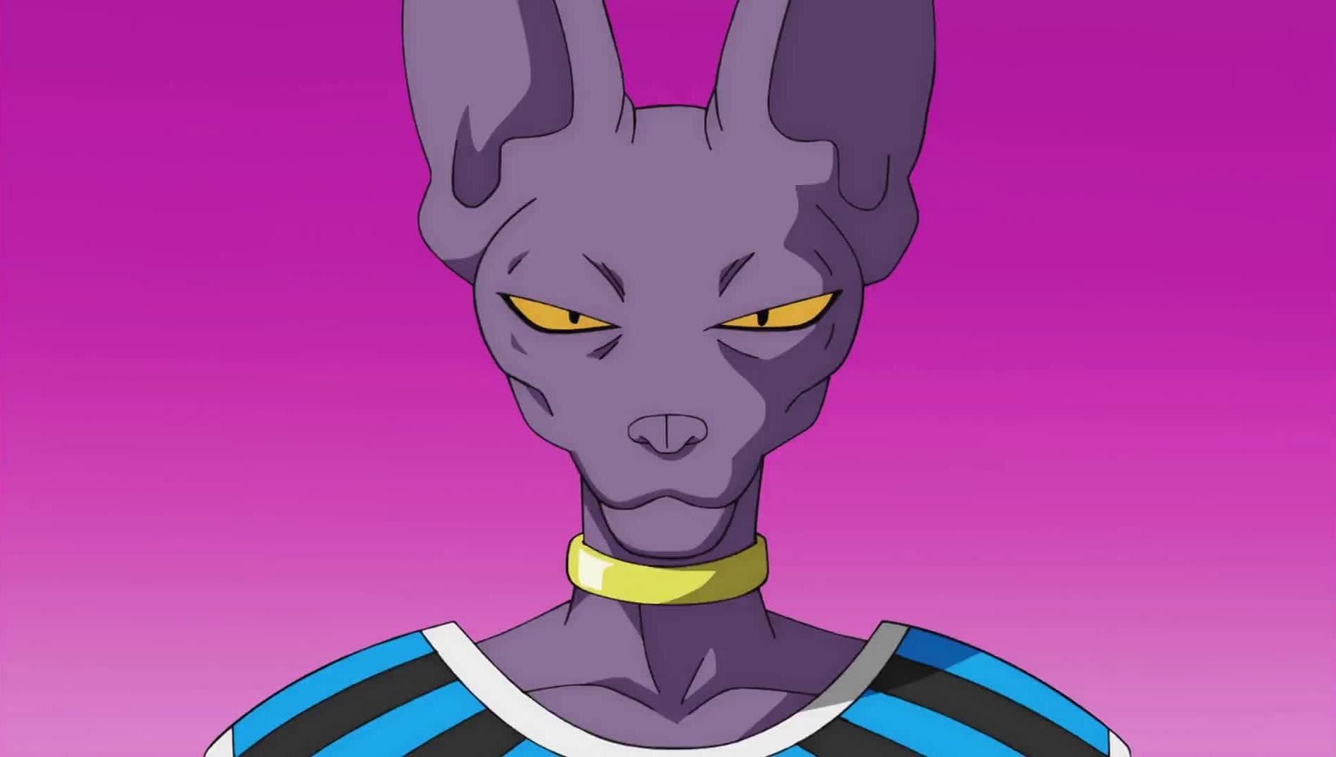 Beerus as he appears in the anime (Image via Toei Animation)