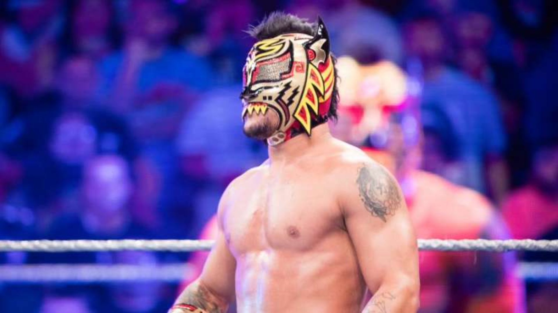 "I'm from New Jersey, born and raised in America" – WWE didn't know Lince Dorado could speak English