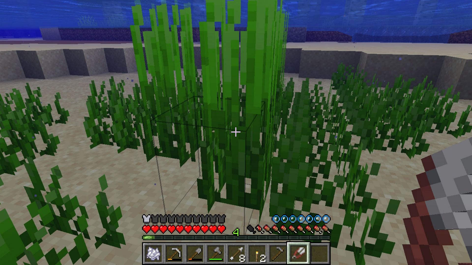 Harvesting seagrass requires the use of shears (Image via Mojang)