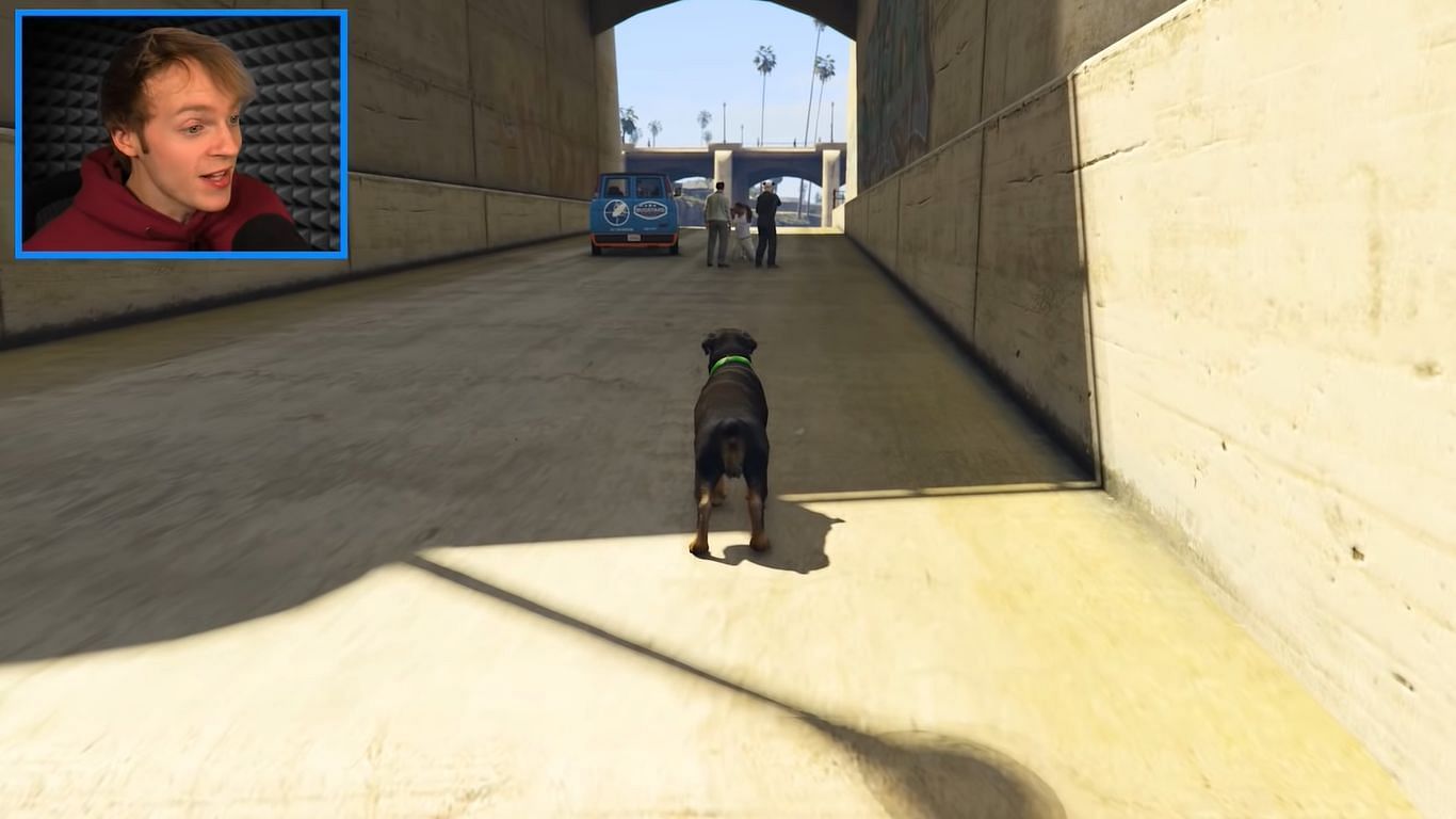 Chop managed to sniff out Franklin and the GTA 5 kidnappers (Image via YouTube/@Nought)