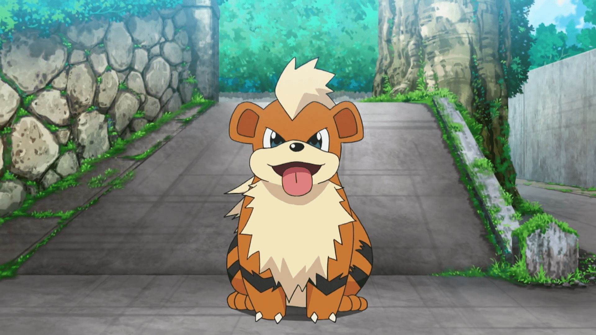 Growlithe as it appears in the anime (Image via The Pokemon Company)