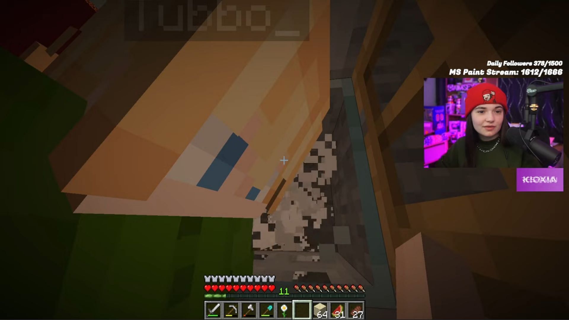 She enters his AFK Minecraft farm (Image via Canooon YouTube)